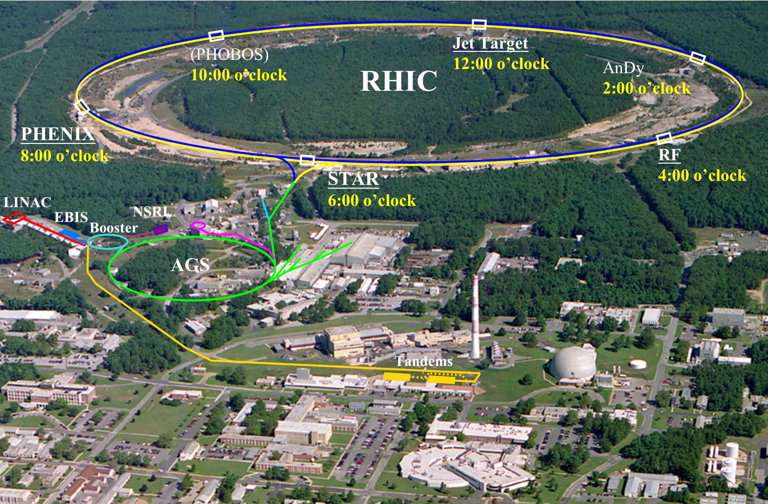 Relativistic Heavy Ion Collider (RHIC)